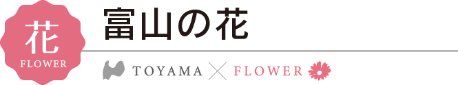 花　富山の花カレンダー