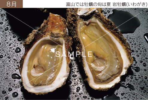 8月 富山では牡蠣の旬は夏 岩牡蠣(いわがき)